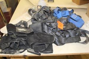 lot 466 image: (3) Tree Belt Harnesses, (2) Back Supports