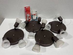 lot 63 image: 4 - 3 Bulb Light Assemblies and Bulbs