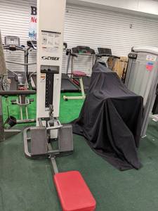 lot 10 image: Cybex low row machine model 5302-91...