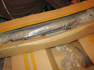 lot 264 image: Hydraulic Cylinders - Pallet Full