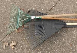 3 rakes and a brush