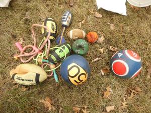 Balls, rackets, paddles, etc