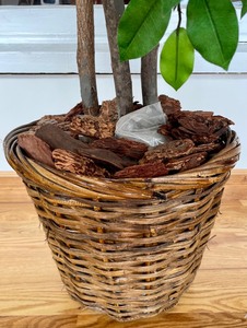 lot 60 image: Fantastic Faux Tree