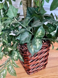 lot 13 image: Fabulous Faux Tree