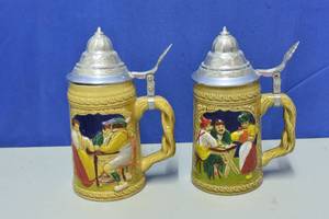 B & C Steins