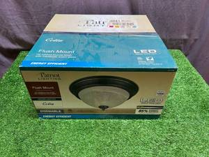 lot 86 image: New Flush Mount Celia Patriot Light Fixture