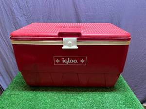 lot 101 image: Igloo Cooler