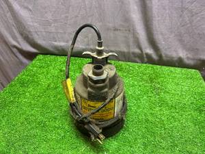 lot 170 image: Simer Submersible Utility Pump
