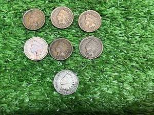 lot 245 image: 7 1901 Indian Head Pennies