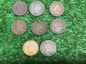 lot 251 image: 8 Indian Head Pennies