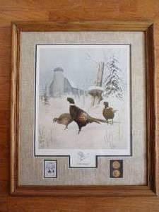 Framed Art Print. Bird. Limited Edition. National Park Series. Signed by Leo Stans.
