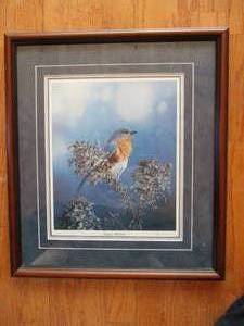 Framed Print. Eastern Bluebird. by Jim Hansel.