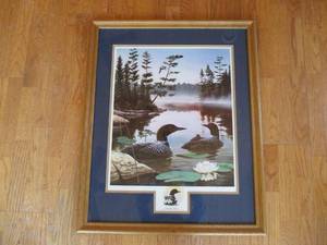 Framed Art Print. Loon. Boundary Waters Signed by Leo Stans
