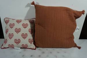 2 Throw Pillows