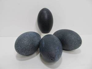 lot 100 image: 4 Large Genuine Hollowed Out Emu Eggs
