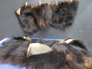 lot 80 image: PARTIAL BEAR RUG  OTTER HAT