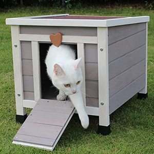 Rockever Wooden Small Pet Hutch, Gray