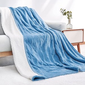 Entil Flannel & Shu Velveteen Reversible Electric Heated Blanket, Blue, Twin