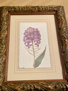lot 52 image: Pair of Framed Botanical Prints