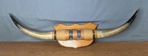 lot 69 image: Mounted Steer Horns - Z