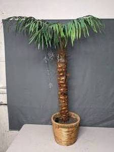 lot 109 image: Faux Palm Tree with Lights - Z