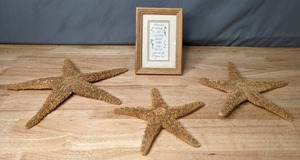 lot 148 image: Small Framed Quote and 3 Starfish - Z