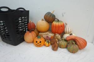lot 253 image: decorative pumpkins and gourds
