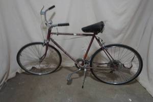 lot 255 image: bike