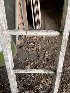 lot 197 image: 16 Foot Wooden Ladder