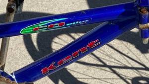 Co Pilot Bike Tout by Kent