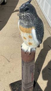 Outdoor Owl Decoy