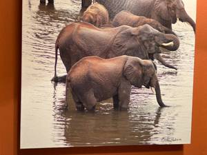 lot 18 image: Mark Paulson Signed Elephant Picture on Canvas