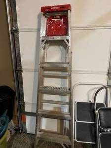 lot 159 image: Ladder & 2 Step Stools