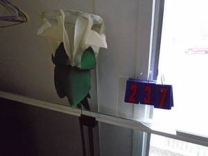 Qtyof 2 wind socks. As shown.