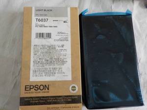 Epson Light Black T6037...