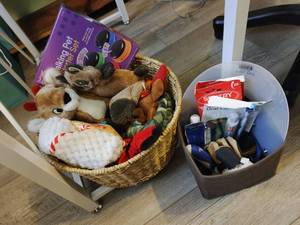 Collection of Pet Supplies & Toys