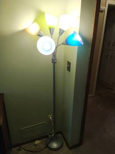 Two Adjustable Floor Lamps