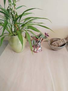Collection Of Pottery