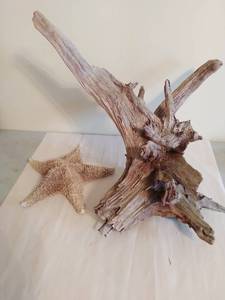 Two Pieces Of Natural Dcor