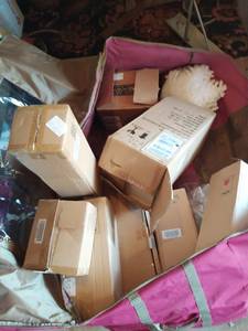 Collection of Christmas Dcor with Storage container