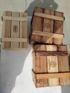 Collection of Thomas Paconi Christmas Dcor