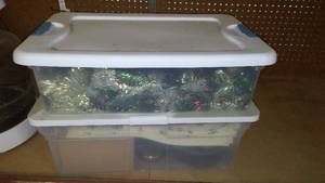 lot 56 image: Sterlite (32 qt.) and Rubbermaid (11 gal.) Storage with convers and contents
