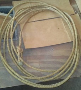 lot 203 image: Lasso  like NEW