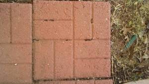 lot 613 image: 12 in. Paver Blocks. about 300. Big Value
