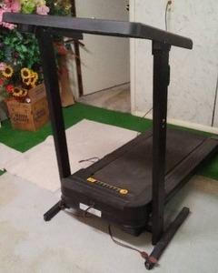 lot 615 image: Weslo Cadence 925 Treadmill