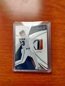 Immaculate Mitch Garver Jersey Relic Card - #d99