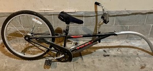 lot 199 image: Trek Mountain Train Childs Bicycle Attachment