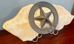 lot 230 image: Texas