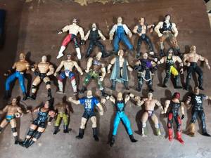 Collection Of 21 Wrestling Figures