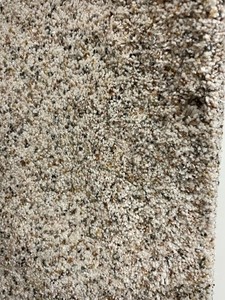 102 SF Plush Carpet Rem - 12x8.5 - Light Fleck